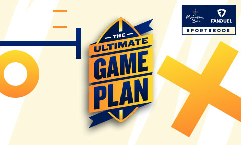 the ultimate game plan image