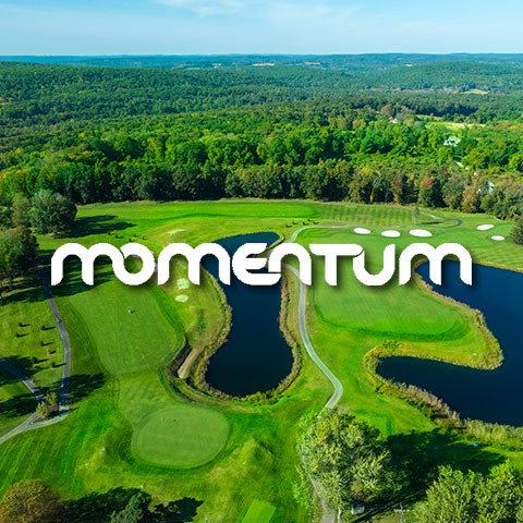 Momentum_SubFeature Momentum